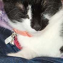 Thumbnail photo of Sally & Pheobe #2