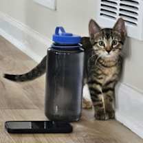 Thumbnail photo of Dorothy #2