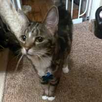 Thumbnail photo of Bubbles #4