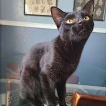 Thumbnail photo of SLICE #1