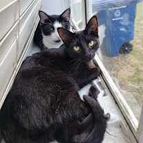 Thumbnail photo of SLICE #4