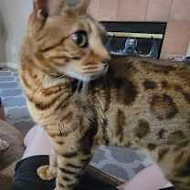 Thumbnail photo of Ginny #3