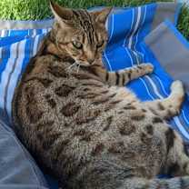 Thumbnail photo of Ginny #4