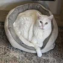 Thumbnail photo of Monkey (and Ducky) #2