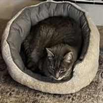 Thumbnail photo of Ducky (and Monkey) #2