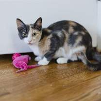 Thumbnail photo of Thelma & Louise #3