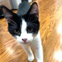 Thumbnail photo of Lily #2