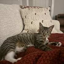 Thumbnail photo of Wednesday #3