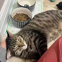 Thumbnail photo of Simon #3