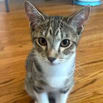 Thumbnail photo of Sunny #4