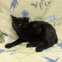 Thumbnail photo of Keegan #2