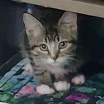 Thumbnail photo of Washer #1