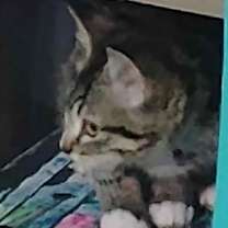 Thumbnail photo of Washer #2