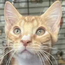 Thumbnail photo of Garth #2