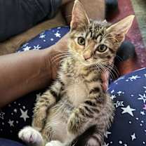 Thumbnail photo of Katie #4