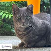 Thumbnail photo of Baby #1