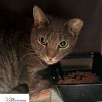 Thumbnail photo of Baby #2