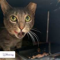 Thumbnail photo of Baby #3