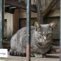 Thumbnail photo of Baby #4