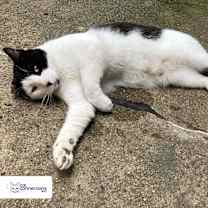 Thumbnail photo of Erik #3