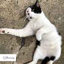 Thumbnail photo of Erik #4