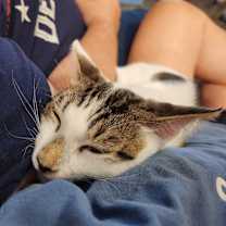 Thumbnail photo of Durango25 #3