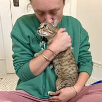 Thumbnail photo of Kanga & Roo #3