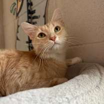 Thumbnail photo of Karol #4