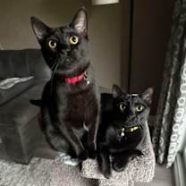 Thumbnail photo of Cliff #3