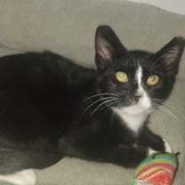 Thumbnail photo of Lighting-Courtesy post #1