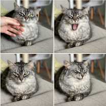 Thumbnail photo of Winnie  #2