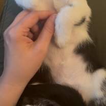 Thumbnail photo of DeLa #2