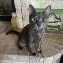 Thumbnail photo of Ireland #1