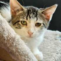 Thumbnail photo of Will #1