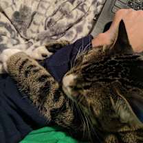 Thumbnail photo of Eli #2