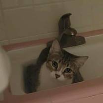 Thumbnail photo of Amaris (Big Sister) #2