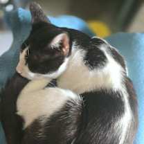 Thumbnail photo of Timmy #2