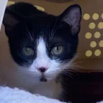 Thumbnail photo of Janny #2