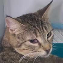 Thumbnail photo of Jules  #2