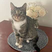 Thumbnail photo of Ivy ee #1