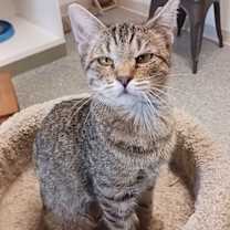 Thumbnail photo of Regina #1