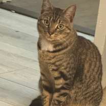 Thumbnail photo of Sky #1