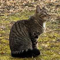 Thumbnail photo of Sky #2