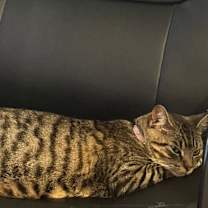 Thumbnail photo of Sky #3