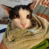 Thumbnail photo of Mrs. Beakley #2