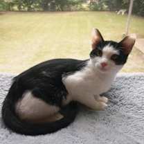 Thumbnail photo of Mrs. Beakley #3