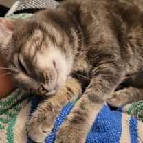 Thumbnail photo of Lena #4