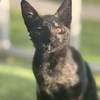 Thumbnail photo of April #2