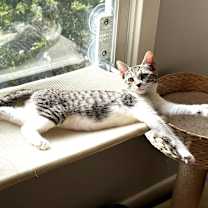 Thumbnail photo of Olivia #2