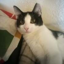 Thumbnail photo of Zula #2